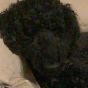 Meet your Posher, Catherine